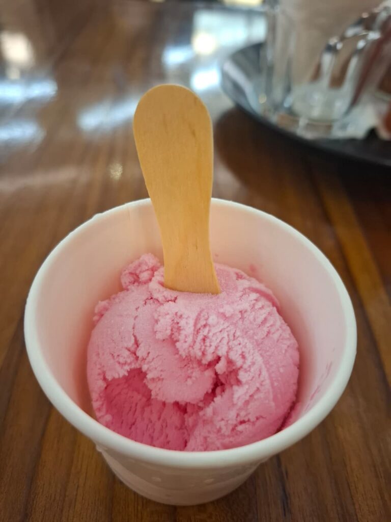 Ice Cream Strawberry Milk by Hey Beach